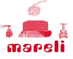 ACEROS Y MATERIALES MARELI S.A DE C.V.