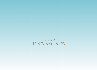 Sitio web de Prana Spa
