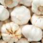 Ajo Completo Bulbo Garlic Bulb