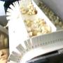 Garlic Process Proceso del Ajo