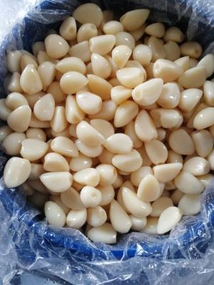 Ajo-Pelado-Peeled-Garli