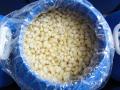 Ajo Pelado - Peeled Garlic