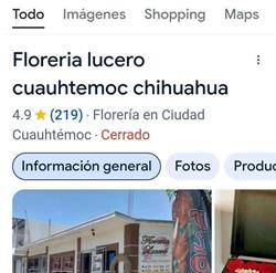 Floreria Lucero cuauhtemoc chihuahua