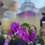 Aguas frescas