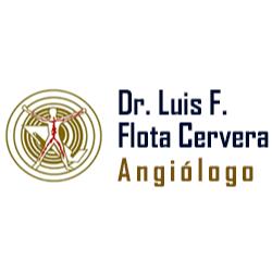 Dr. Luis F. Flota Cervera