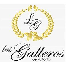 Mariachi Los Galleros De Vallarta