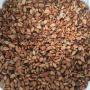 CACAO LAVADO