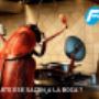 cucarachas en cocina