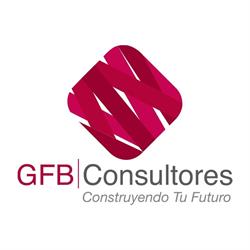 GFB Consultores