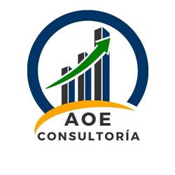 Asesoria Operativa Empresarial