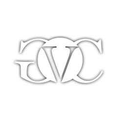 Gestoría Vehicular Profesional Castro