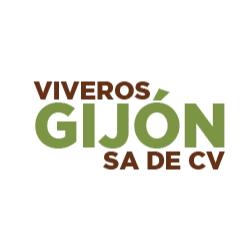 Viveros Gijón Sa De Cv