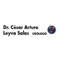 Dr. César Arturo Leyva Salas