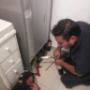 # 1