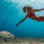 Cancun Snorkeling