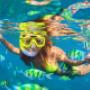 Cancun Snorkeling