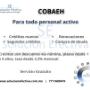 COBAEH