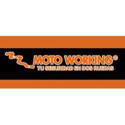 Moto Working
