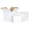 CAJAS-DE-PIZZA
