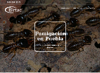 Sitio web de Plagas BTC Puebla