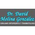 Dr. David Molina González
