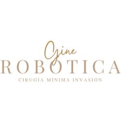 Ginerobótica