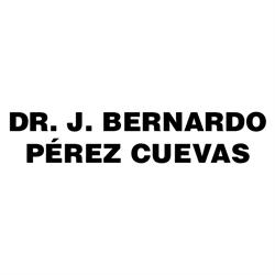 Dr J Bernardo Perez Cuevas