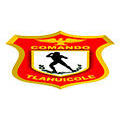 Comando Tlahuicole