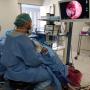 Médico otorrino en Chihuahua