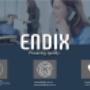 ENDIX 2