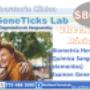 Promociones