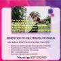 Terapia Familiar