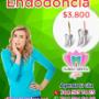 Endodoncia
