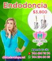 Endodoncia