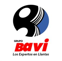 Michelin Car Service - Bavi Camelinas