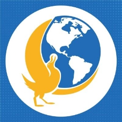 Instituto Global de Formación y Educación