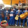 Vero mariachi apizaco