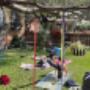 Centro holístico, yoga y meditación en San Luis Potosí