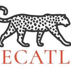 Cajas Fuertes Ecatl