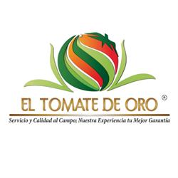 El Tomate de Oro