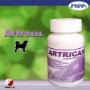 Artrican