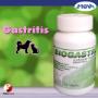 Biogastro