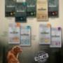 Blackwood para Perro