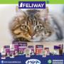Feliway