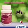 Lycopen