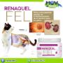 Renaquel Fel