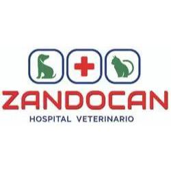 Zandocan Hospital Veterinario