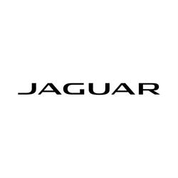 Jaguar Polanco