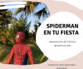 Paquete spiderman