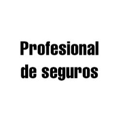 Profesional De Seguros
